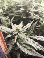 WhatsApp Image 2025-09-22 at 15.19.08 (2).jpeg