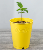 1758729281342.png 1758729281342.png