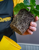 1758729468853.png 1758729468853.png