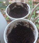 12331223.jpg 12331223.jpg