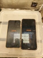 IMG_20251003_090346_297.jpg IMG_20251003_090346_297.jpg