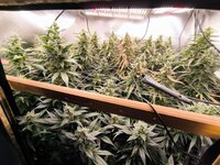 WhatsApp Image 2025-10-04 at 22.54.46 (1).jpeg