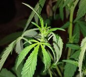 123123123.jpg 123123123.jpg