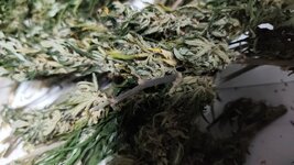 photo_2025-10-10_00-03-04 (2).jpg