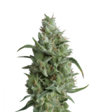 1760351977373.png 1760351977373.png