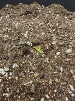 IMG_20251010_094004.jpg IMG_20251010_094004.jpg