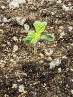 IMG_20251012_115950.jpg IMG_20251012_115950.jpg