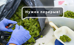 1760613827329.png 1760613827329.png