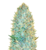 1760615964753.png 1760615964753.png