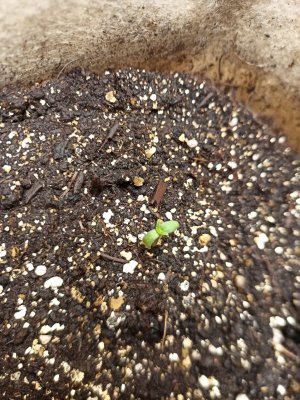 photo_2022-05-14_22-51-21.jpg photo_2022-05-14_22-51-21.jpg