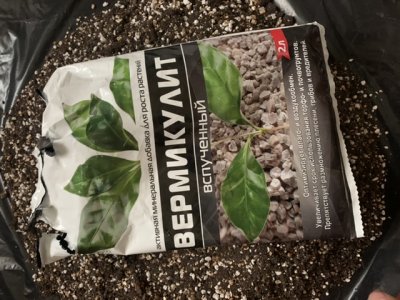 56CD0545-F875-42D9-A94D-490942B69C56.jpeg 56CD0545-F875-42D9-A94D-490942B69C56.jpeg