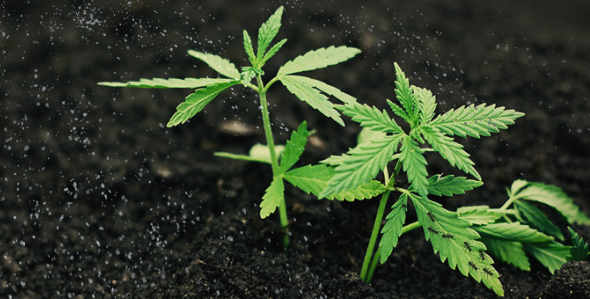 1652634998632.png 1652634998632.png