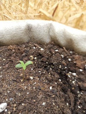 photo_2022-05-15_22-07-49.jpg photo_2022-05-15_22-07-49.jpg