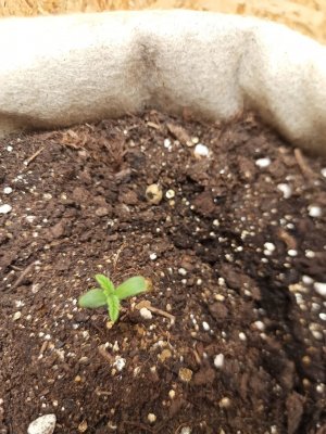 photo_2022-05-15_22-07-53.jpg photo_2022-05-15_22-07-53.jpg