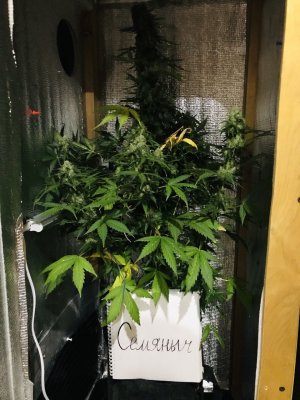 0F2CC1EB-04C1-4DF9-B84A-E4CB385261C4.jpeg 0F2CC1EB-04C1-4DF9-B84A-E4CB385261C4.jpeg