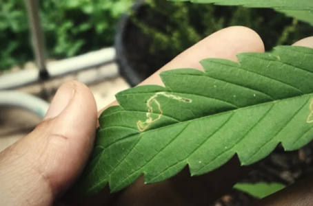 1652792155077.png 1652792155077.png