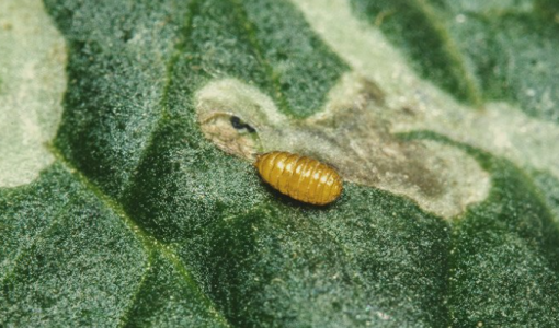 1652792286308.png 1652792286308.png