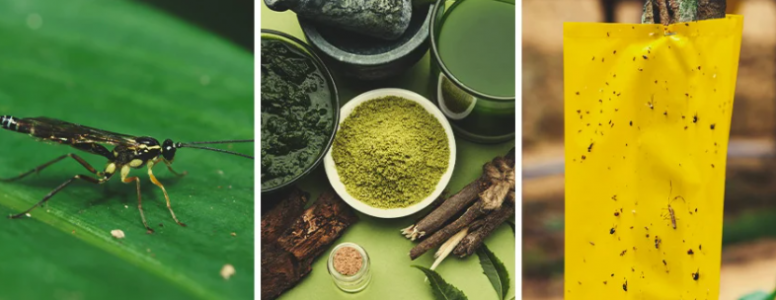 1652792599028.png 1652792599028.png