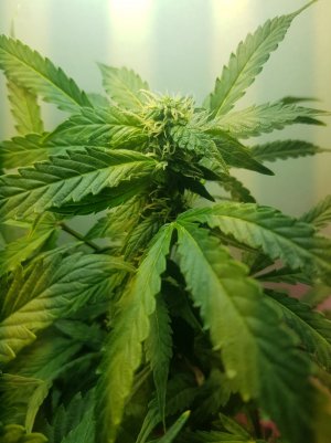 20220517_183030_optimized.jpg 20220517_183030_optimized.jpg