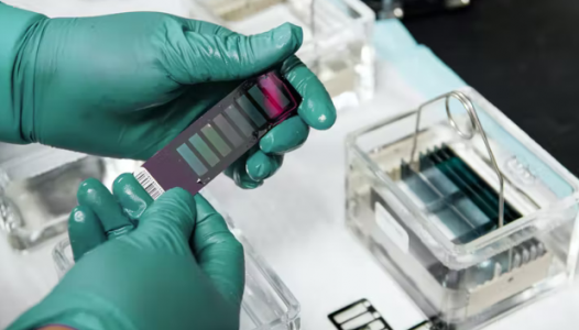 1652896818656.png 1652896818656.png