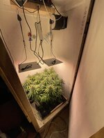 IMG_1208.jpeg IMG_1208.jpeg