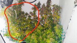 1000042874.jpg 1000042874.jpg