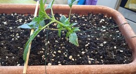 1000021797.jpg 1000021797.jpg