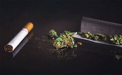 cigarette.jpg cigarette.jpg