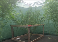 1762858351109.png 1762858351109.png