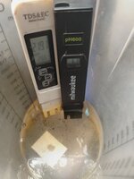 IMG_20251113_161142.jpg IMG_20251113_161142.jpg