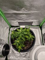 IMG_20251114_090814.jpg IMG_20251114_090814.jpg