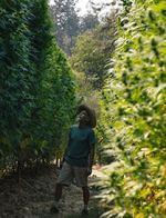 1761133651925.png 1761133651925.png