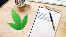 trehpalye-listya-konopli__7e2BOvuwp4XQ7ih1.jpg