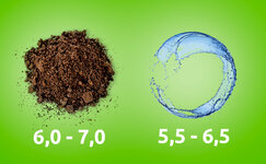 pH__Oa8raG2n9Uxs6QEb.jpg pH__Oa8raG2n9Uxs6QEb.jpg