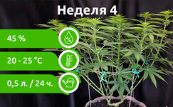 week-4__Li1WFU0IyK1u4BzV.jpg week-4__Li1WFU0IyK1u4BzV.jpg