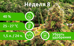 week-8__piydqkgCpTFgL046.jpg week-8__piydqkgCpTFgL046.jpg