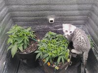 IMG_20251119_163956.jpg IMG_20251119_163956.jpg