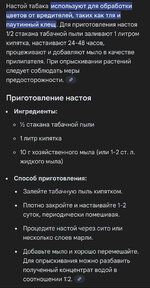 IMG_1725.jpeg IMG_1725.jpeg