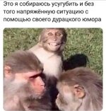 20527277.jpg 20527277.jpg