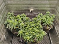 IMG_20251128_024020.jpg IMG_20251128_024020.jpg