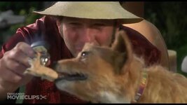 1000031294.jpg 1000031294.jpg