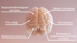 1764751505862.png 1764751505862.png