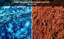 podgotovka-pitatelnogo-rastvora-dlya-sistem-avtopoliva__rikd8LRhYxAnqSI7.jpg podgotovka-pitatelnogo-rastvora-dlya-sistem-avtopoliva__rikd8LRhYxAnqSI7.jpg