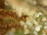 Photo_2025-08-29 08_44_05_342.png