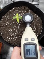 IMG_4641.jpeg IMG_4641.jpeg