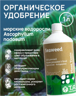 1765724406553.png 1765724406553.png