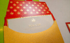 1765872808239.jpeg 1765872808239.jpeg