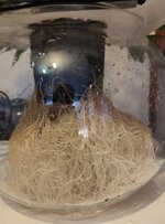 Доширак.jpg Доширак.jpg