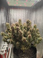 112-58в.jpeg 112-58в.jpeg