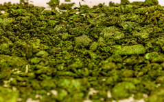 1766508929300.png 1766508929300.png